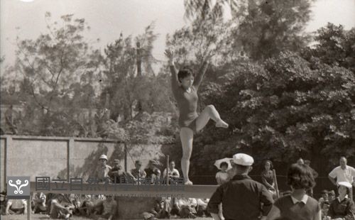 1950至2006年臺灣常民生活藏品圖，第1張