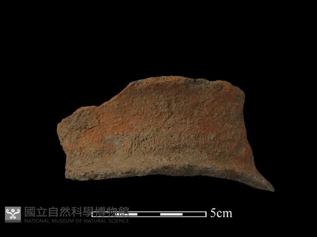 陶罐藏品圖，第2張