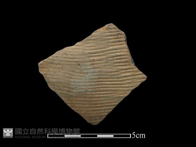 陶片藏品圖，第1張