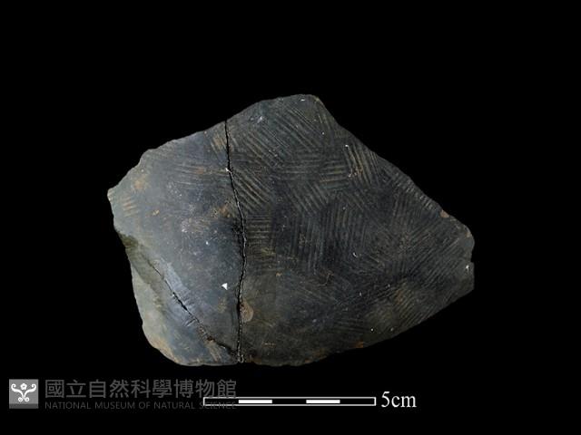 陶片藏品圖，第1張