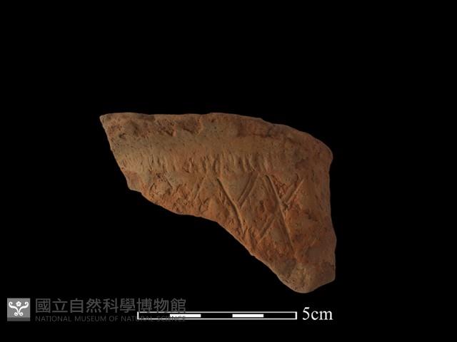 陶罐藏品圖，第1張