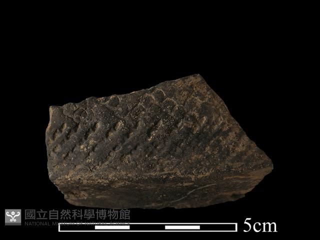 陶罐藏品圖，第2張