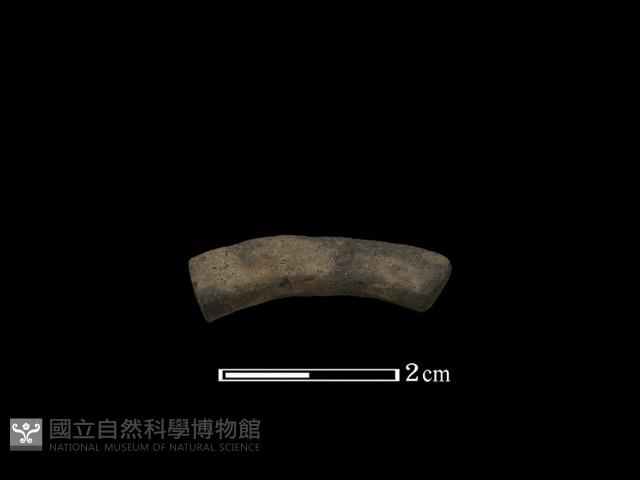 陶環藏品圖，第1張