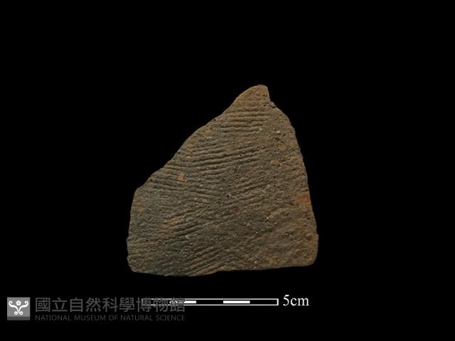 陶罐藏品圖，第1張