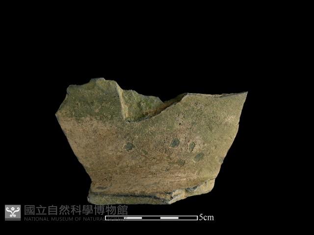 陶片藏品圖，第1張