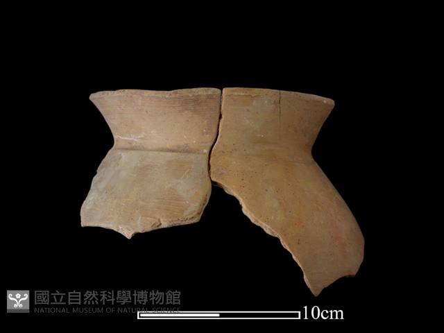 Accession Number:NSK-2012-170 Collection Image, Figure 1, Total 2 Figures