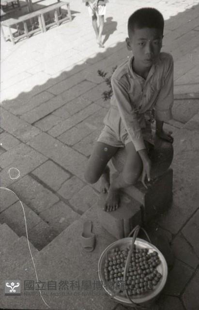 1950至2006年臺灣常民生活藏品圖，第1張