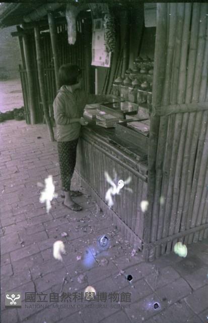 1950至2006年臺灣常民生活藏品圖，第1張