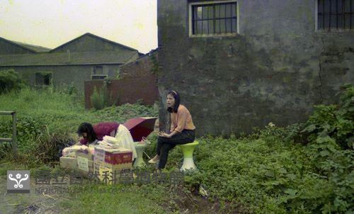 1950至2006年臺灣常民生活藏品圖，第1張