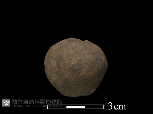 陶紡輪藏品圖，第1張