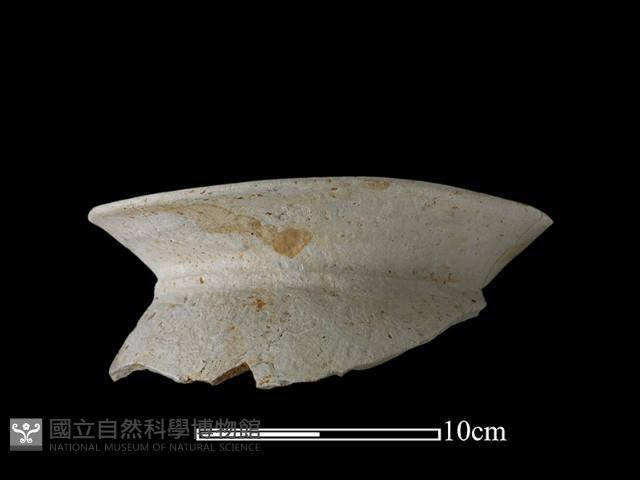 陶罐藏品圖，第1張