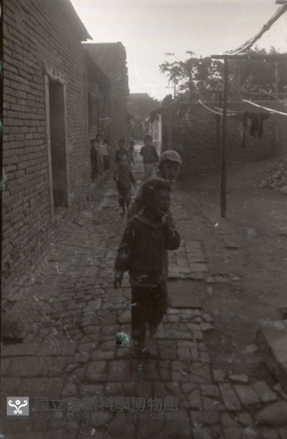 1950至2006年臺灣常民生活藏品圖，第1張
