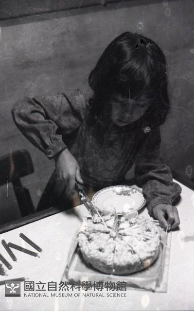 1950至2006年臺灣常民生活藏品圖，第1張