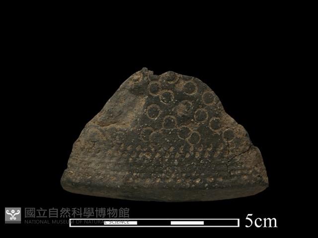 陶罐藏品圖，第1張