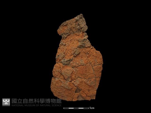 陶片藏品圖，第1張