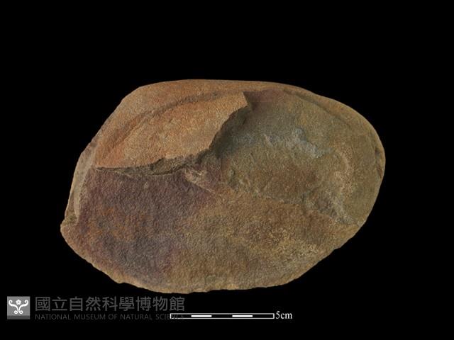 石核藏品圖，第2張