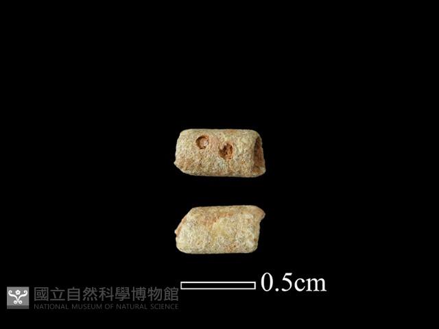 玻璃珠藏品圖，第1張