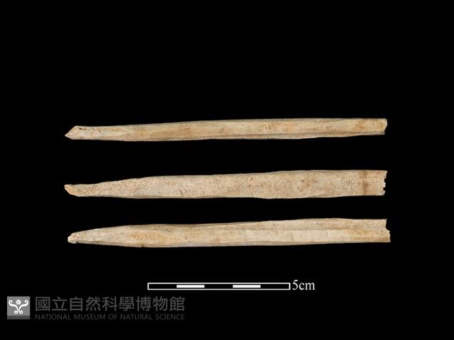 帶加工痕獸骨藏品圖，第1張