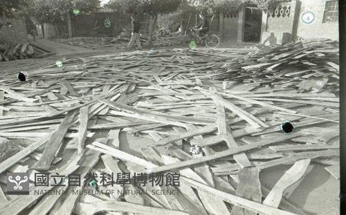 1950至2006年臺灣常民生活藏品圖，第1張