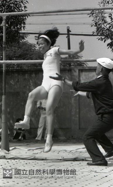 1950至2006年臺灣常民生活藏品圖，第1張