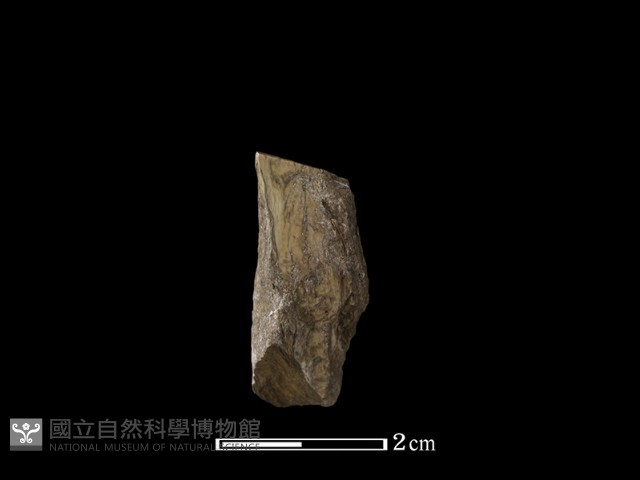 錛鑿形器藏品圖，第1張