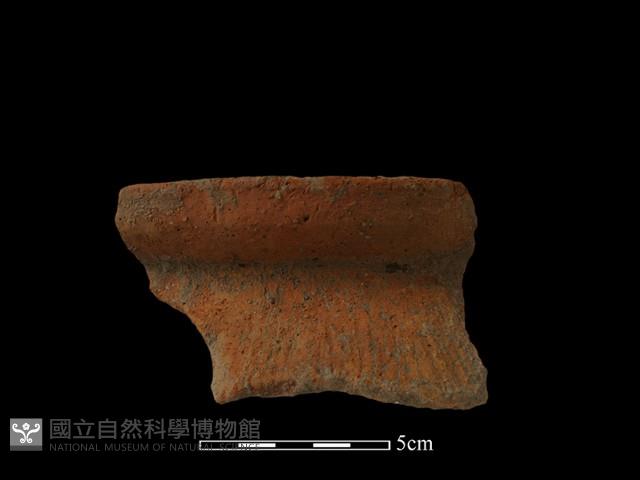 陶罐藏品圖，第2張