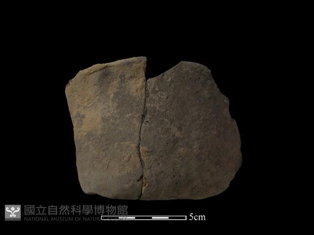 陶片藏品圖，第1張