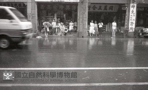 1950至2006年臺灣常民生活藏品圖，第1張