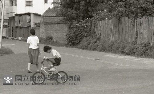 1950至2006年臺灣常民生活藏品圖，第1張