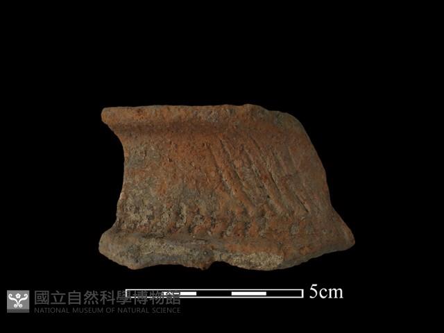 陶罐藏品圖，第2張