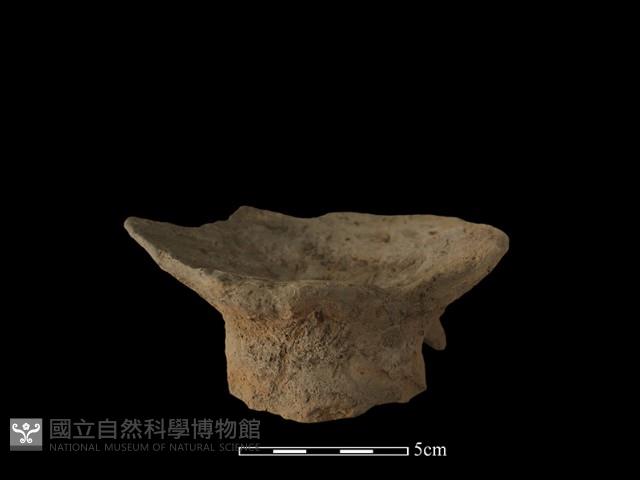 容器藏品圖，第2張