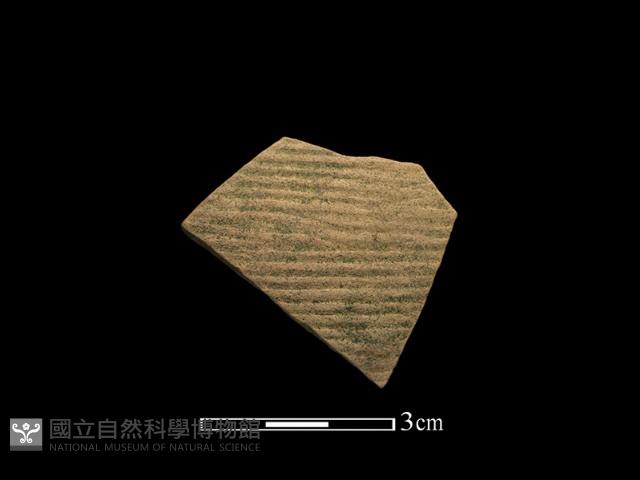 陶片藏品圖，第1張