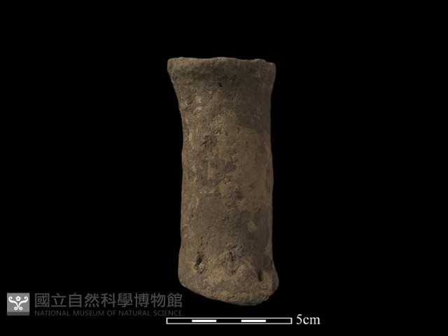 獸足藏品圖，第1張