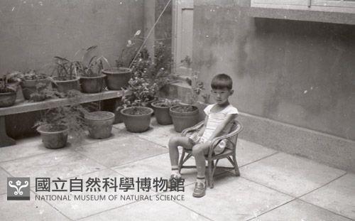 1950至2006年臺灣常民生活藏品圖，第1張