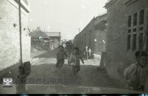 1950至2006年臺灣常民生活藏品圖，第1張