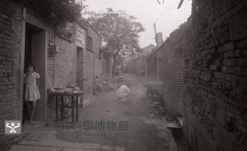 1950至2006年臺灣常民生活藏品圖，第1張