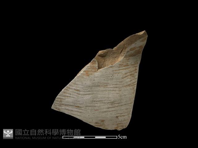 陶片藏品圖，第2張