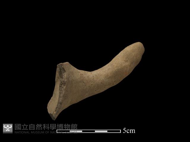 陶把藏品圖，第1張