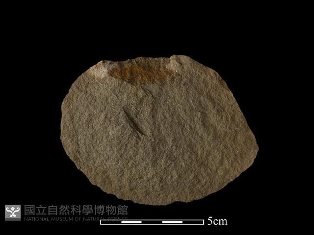 石片器藏品圖，第2張