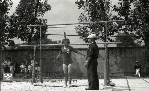 1950至2006年臺灣常民生活藏品圖，第1張