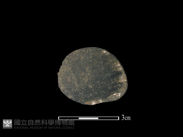陶片藏品圖，第2張