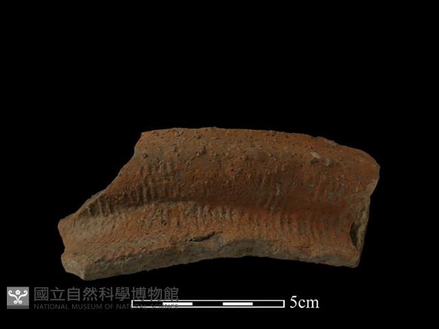 陶罐藏品圖，第1張