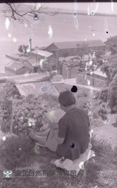 1950至2006年臺灣常民生活藏品圖，第1張