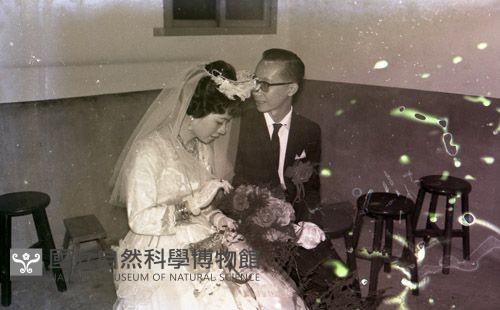 1950至2006年臺灣常民生活藏品圖，第1張
