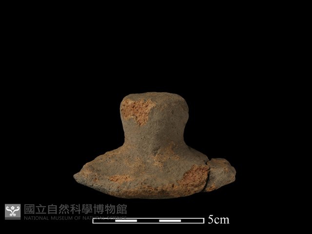 陶蓋鈕藏品圖，第1張