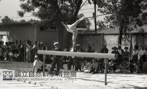 1950至2006年臺灣常民生活藏品圖，第1張