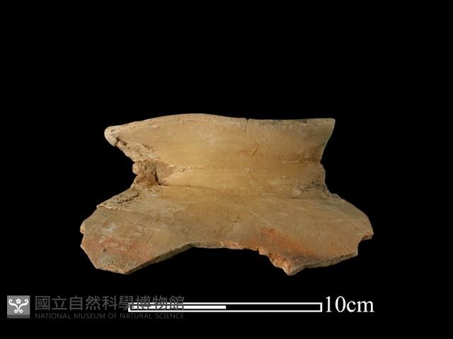 陶罐藏品圖，第2張