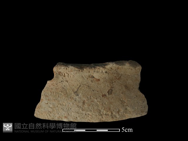 陶罐藏品圖，第2張