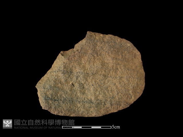 石片器藏品圖，第2張