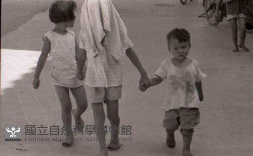 1950至2006年臺灣常民生活藏品圖，第1張